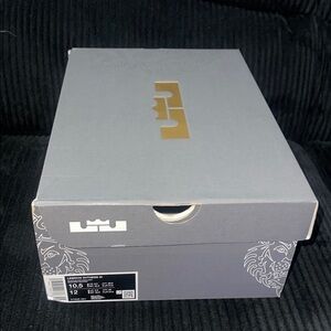 Empty LeBron James Sneaker Box